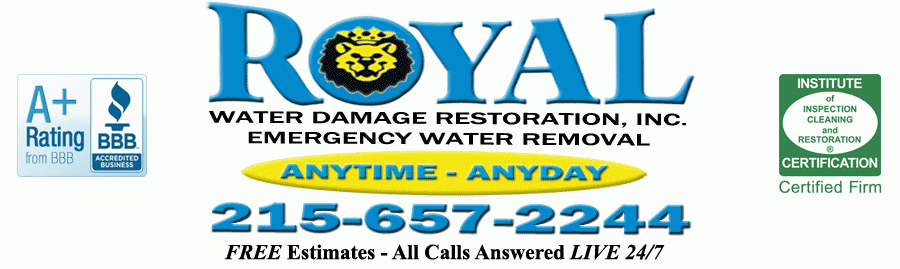 Royal Water / Flood / Sewage Damage Restoration
